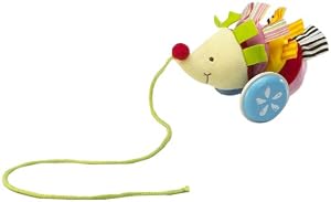 Wonderworld Pull-Along, Hedgehog
