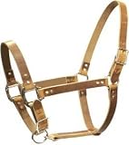 Abetta Leather Halter w/Catch Strap - Harness - Suckling