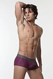 N2N Cosmo Squarecut Swimsuit - Plum