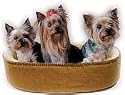 Oval Toy Breed Thermo Heated Dog Bed - Small