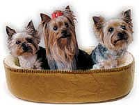 Oval Toy Breed Thermo Heated Dog Bed - Small