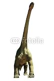 Wallmonkeys Peel and Stick Wall Decals - Dinosaur on the White Background - Removable Graphic