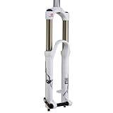 ROCK SHOX Lyrik RC2DH SoloAir Blanc/Gris Fourche plus de 140mm