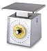 Edlund Premier Series Stainless Scales