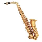 Product details for Selmer Prelude Alto Saxophone
