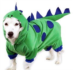 Dog Dinosaur Halloween Costume - Large - Pet Custome