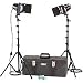 Smith Victor K41 2 765UM Quartz Light, 1200-Watt Barndoor Lighting Kit with Toolbox Carrying Case.