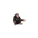 Toys : Schleich Female Chimpanzee