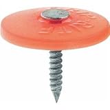 Primesource 726412 1m 3 Plastic Cap Nail 31sZJBEKf L. SL160 Primesource 726412 1m 3 Plastic Cap Nail