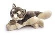 Wolf Small Yomiko Classic Plush Toy 10"L