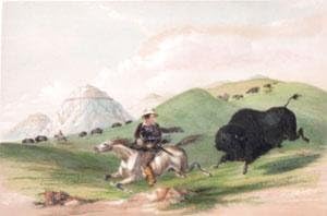 No. 12 - Buffalo Hunt, Chasing Back