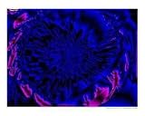 Deep sea crater Abstract Photographic Poster Print by Barbara A Kelley, 10x8