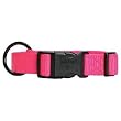 Hamilton 5/8-Inch Adjustable Dog Collar, Adjusts from 12 to 18-Inch, Hot Pink