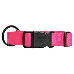 Hamilton 5/8-Inch Adjustable Dog Collar, Adjusts from 12 to 18-Inch, Hot Pink