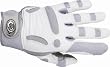Golf Glove, Men's Silver, S Pair