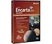 Microsoft Encarta 2007 (Standard Edition) (PC) [Import]
