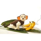 DD-Monkey-XS
