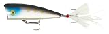 Rebel Lures Pop R Plus Fishing Lure