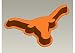 Texas Silicone Cake Pan & Stand