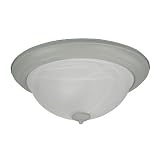 Buy American Fluorescent C6218BNSCT Canterbury Flush Mount 2-Lamp 18-Watt Light... by American Fluorescent