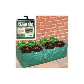 REUSABLE PATIO SALAD PLANTER