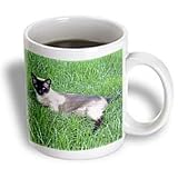 Cats - Siamese Cat - Mugs