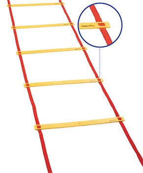 Buy Champion Economy Agility Ladder by Champion