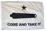 Come and Take It - Historic Flags 3x5' Nylon