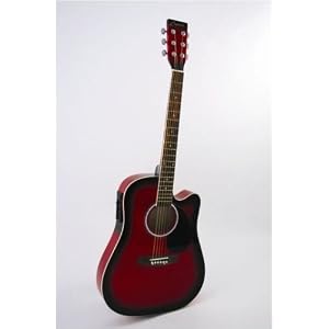Cutaway Acoustic Guitar Accessories Beginners