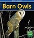 Barn Owls (What's Awake?)