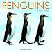 Penguins 2009 Calendar