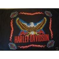 NEOPlex 3' x 5' Harley Davidson Plain Eagle Flag