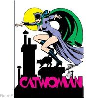  DC Comics Batman Catwoman On Rooftop Magnet 26169DC