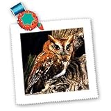 31sdRlai13L. SL160  Owl Quilt
