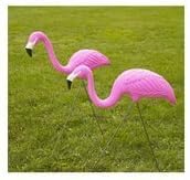 Novelty 30200 Flamingo Pair, Pink, Set of 2 by Novelty