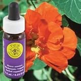 UPC 782932120420 product image for FLOWER ESSENCE SERVICES, Nasturtium Dropper - 0.25 oz | upcitemdb.com
