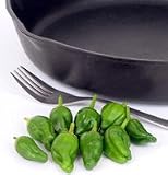 Pepper Hot Padron 100 Seeds per Packet