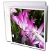 Sandy Mertens Flower Designs - Christmas Cactus - Greeting Cards-6 Greeting Cards with envelopes
