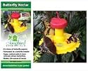 Butterfly Feeder / Nectar Combo - Includes Butterfly Feeder and Nectar