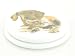 aniba Design Lunette WC Chien-Chat