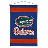 Florida Gators Wall Hanging Bright Blue