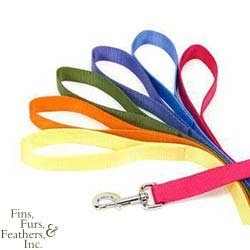 Coastal Pet Nylon Dog Leash Training Lead (Sunset Orange, 6 ft. L x 1 Inch W)