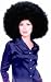 Afro Clown Oversized Wig Adult