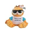 Garfield Ty Beanie Baby Plush Perfection is Hard to Improve 9.5"