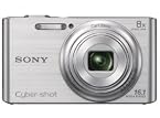 Sony Cyber-shot DSC-W730 16.1MP Point & Shoot Camera - Silver