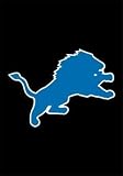 Detroit Lions Mini Garden Window Flag 15"x10.5" NFL Football Fan Shop Sports Team Merchandise