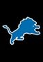 Detroit Lions Mini Garden Window Flag 15"x10.5" NFL Football Fan Shop Sports Team Merchandise