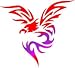 Tattoo Stencil - Large Eagle - #178