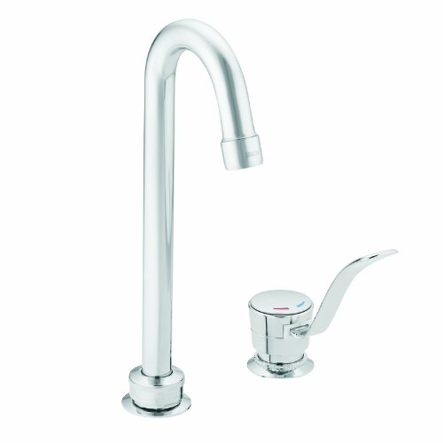 Moen 8901 M-Bition Single-Handle Bar Faucet, Chrome