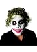 Adult Joker (tm) Wig